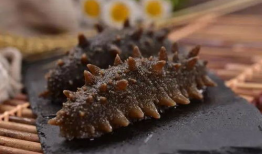 吃瓜爆料海参是真的吗